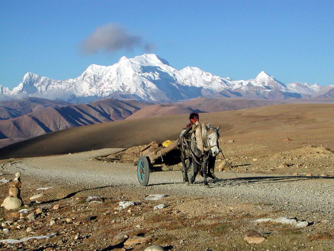 A person pulling a cart with a mountain in the background

Description automatically generated