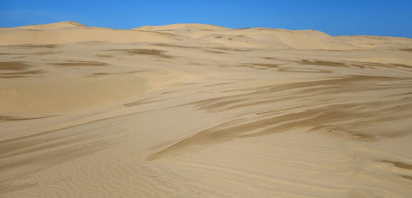 A desert landscape with sand

Description automatically generated with low confidence