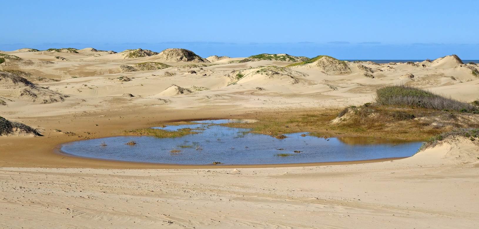 A small pond in a desert

Description automatically generated with low confidence