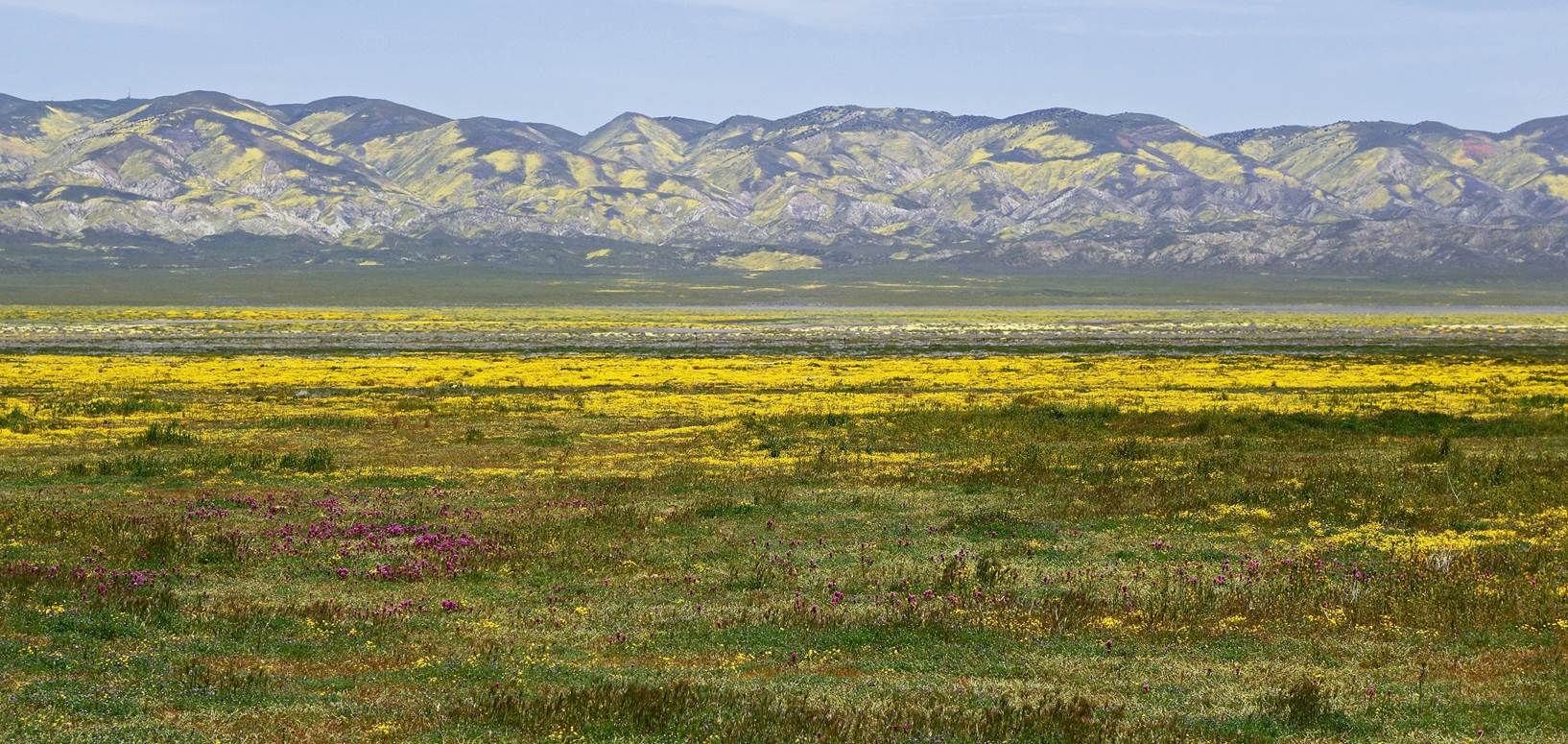 A field of grass with mountains in the background

Description automatically generated with low confidence