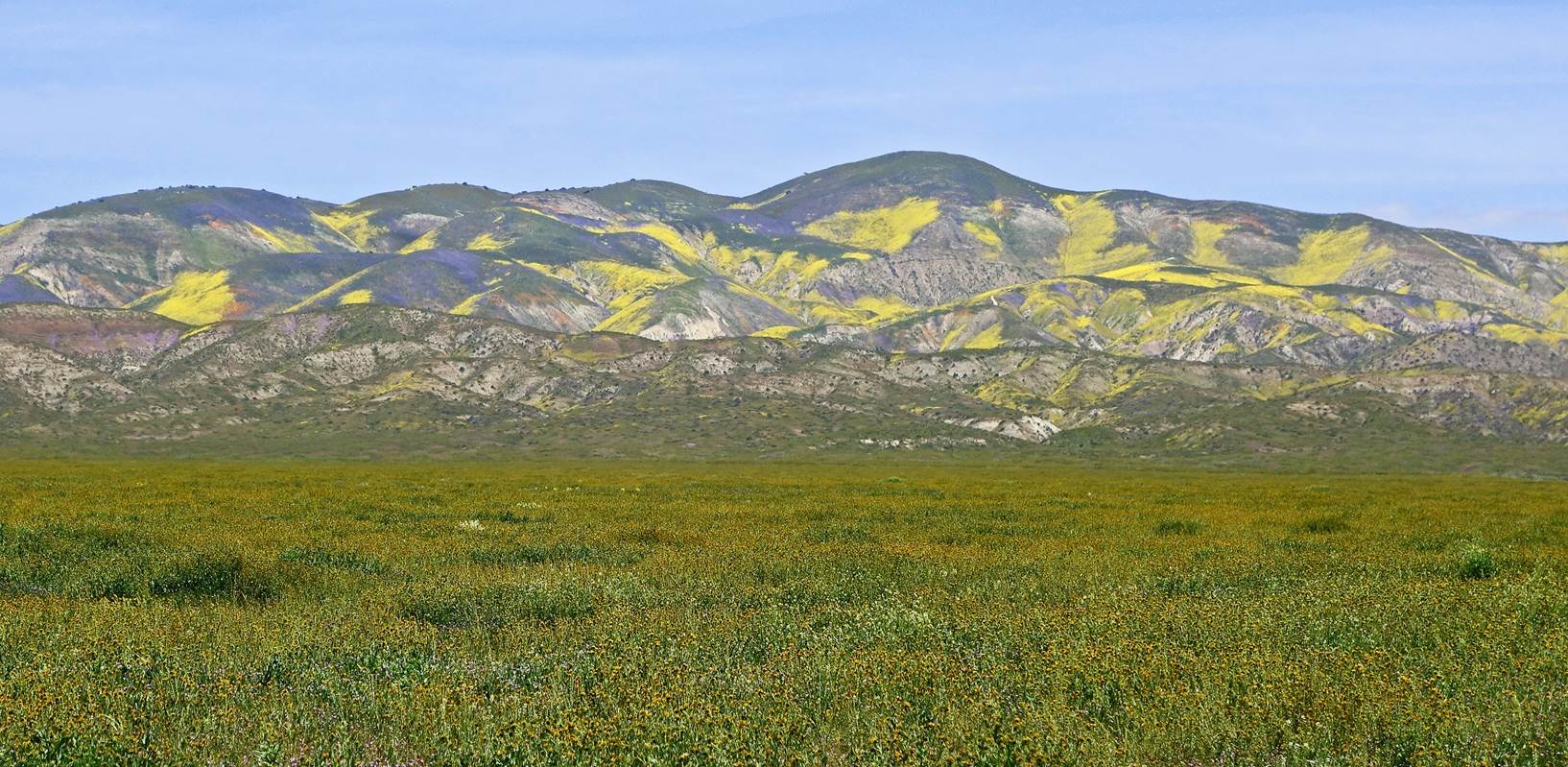 A field of green grass with mountains in the background

Description automatically generated with low confidence