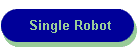 Single Robot