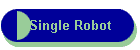 Single Robot