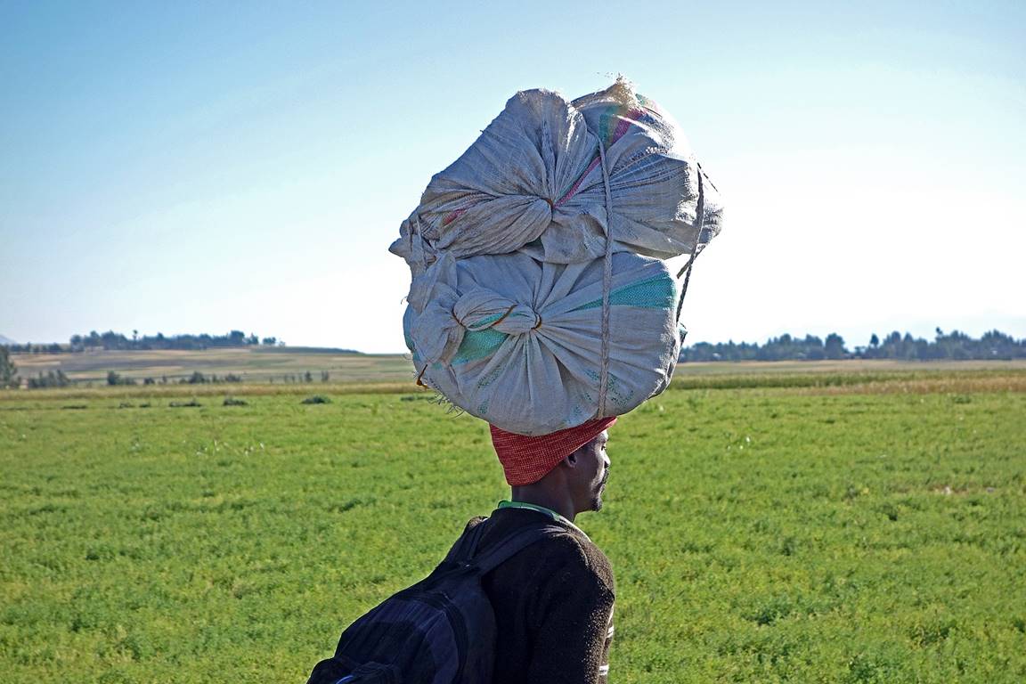 A person carrying bags on his head

Description automatically generated