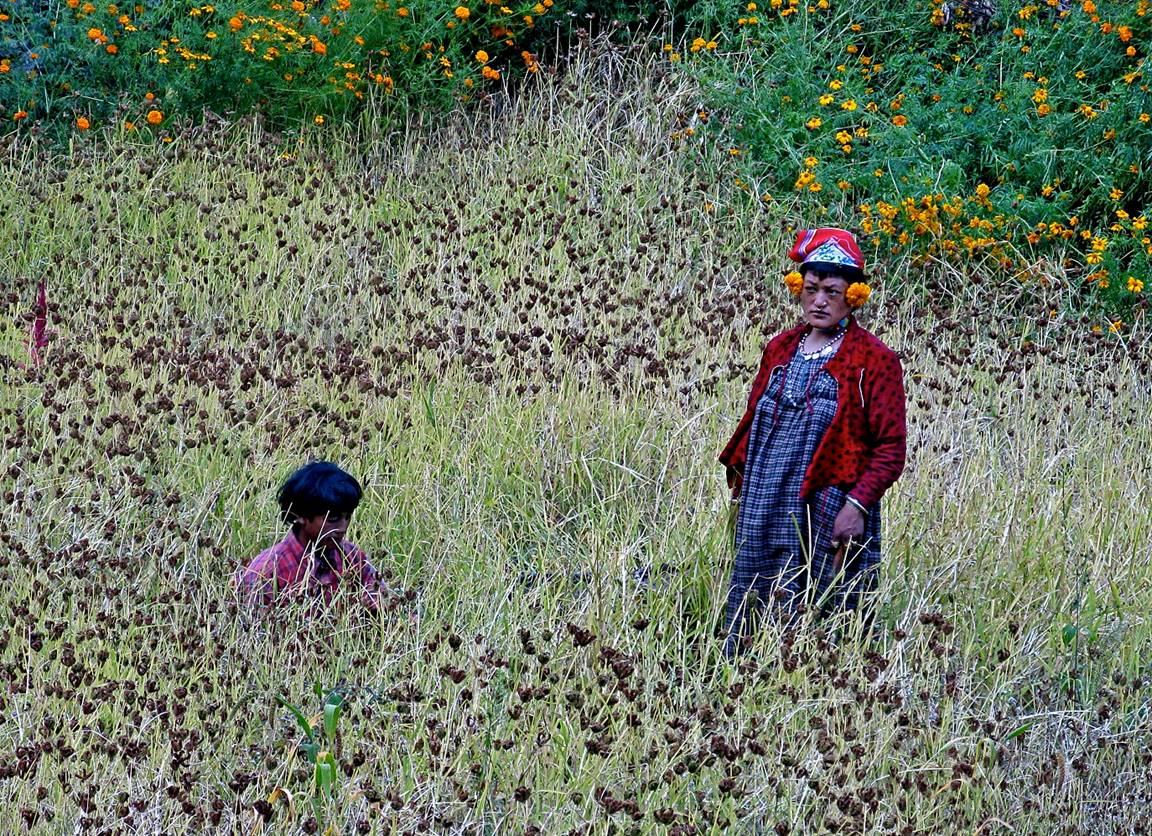 A person and child in a field of grass

Description automatically generated