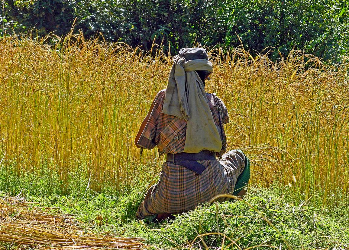 A person kneeling in a field of grass

Description automatically generated