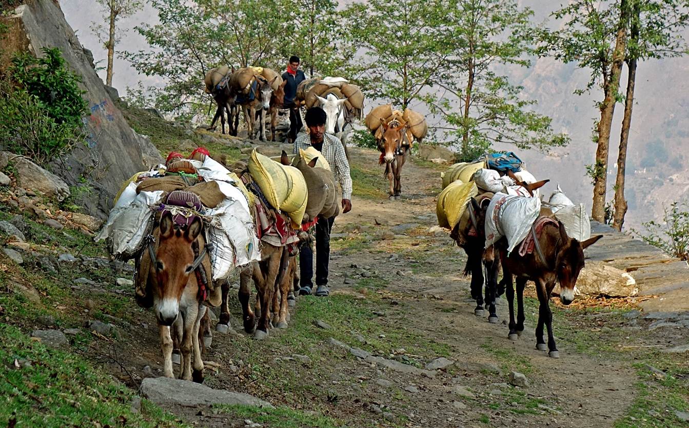A group of people carrying bags and mules

Description automatically generated