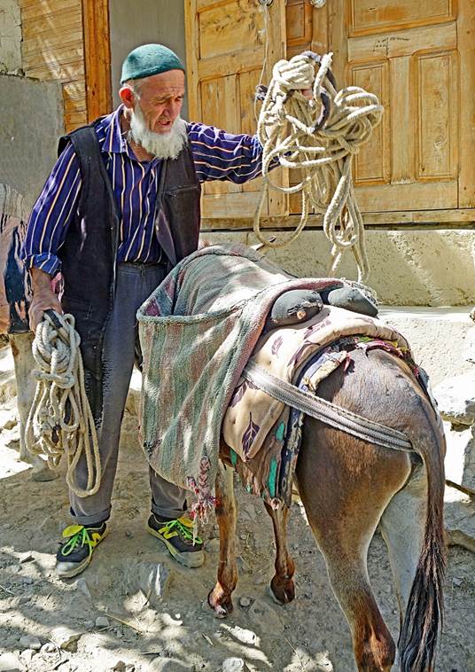 A person holding a rope on a donkey

Description automatically generated