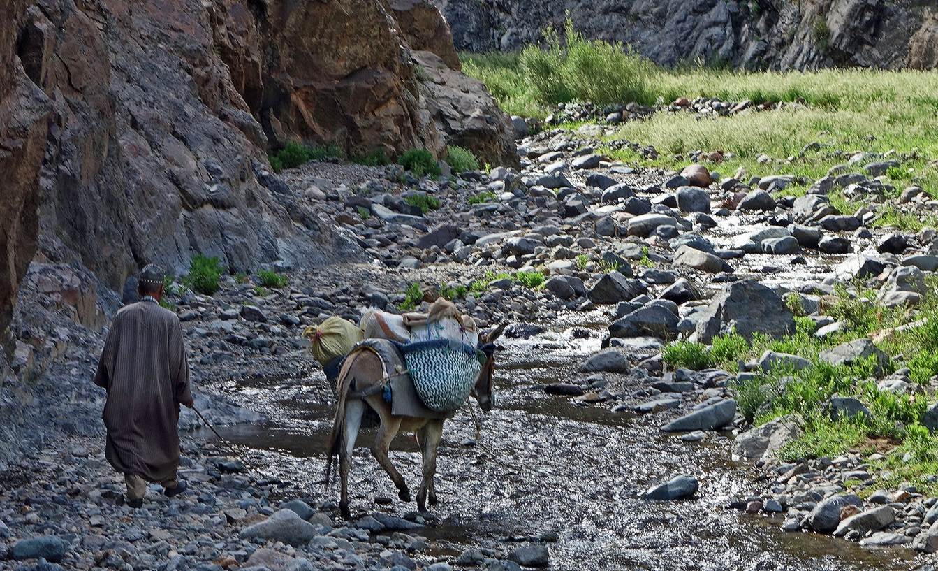 Donkeys carrying goods on a rocky riverbed

Description automatically generated