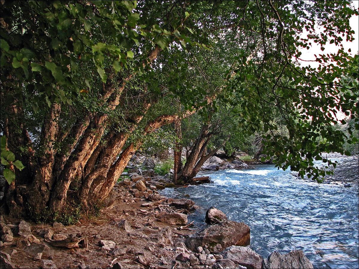 A river with trees and rocks

Description automatically generated