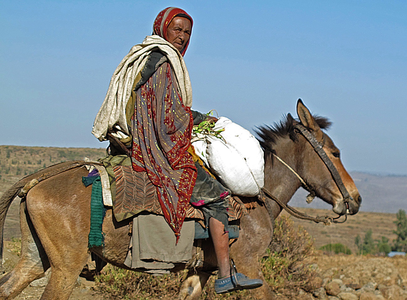 ethio-2012 1268