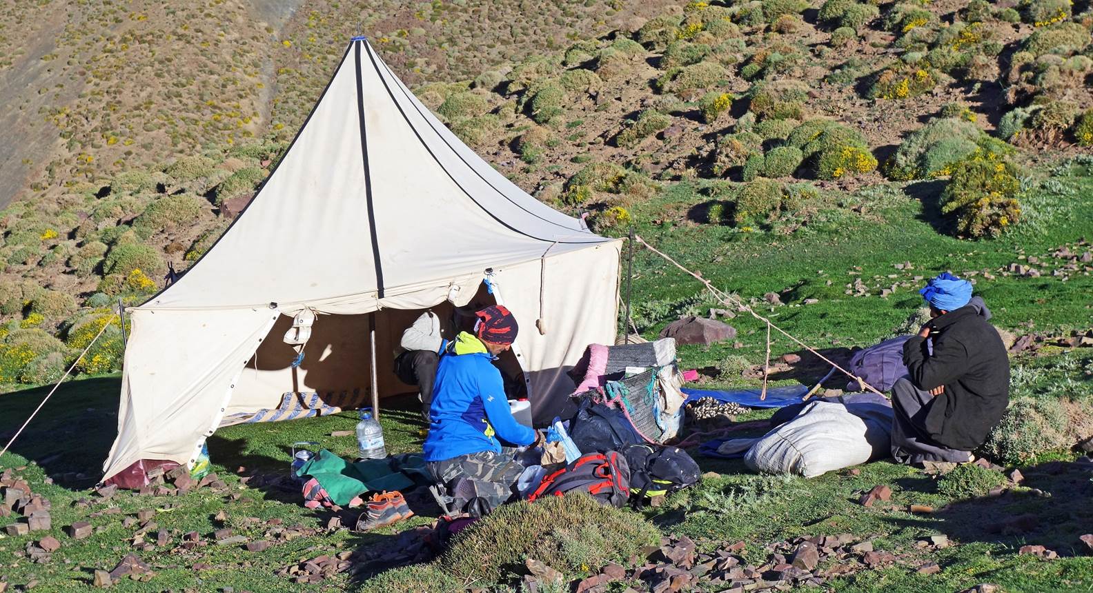 A picture containing outdoor, tent, grass, camping

Description automatically generated