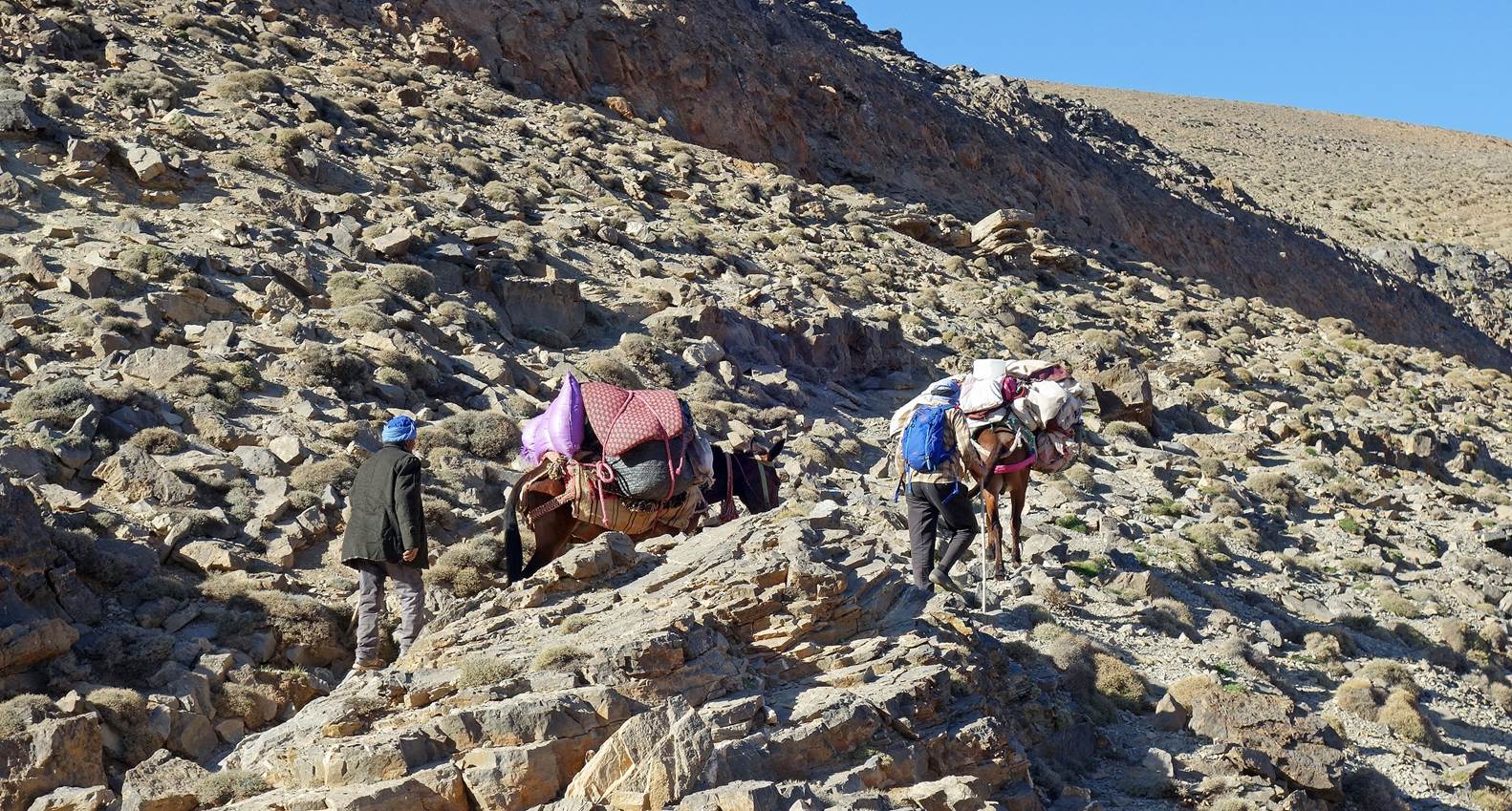 A group of people with camels on a rocky hill

Description automatically generated with low confidence