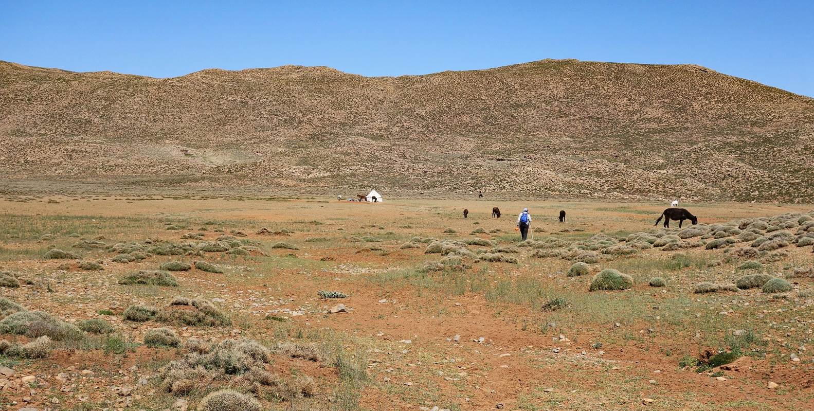 A group of people walking in a desert

Description automatically generated with low confidence
